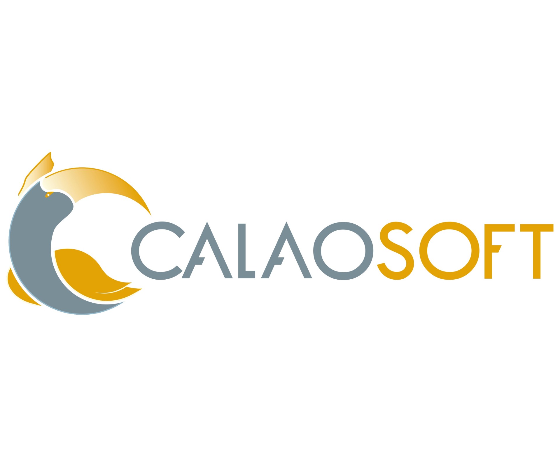 calaosoft-team-e-sante